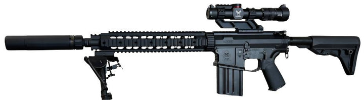 "Set It Off" Custom SR-25 DMR AEG